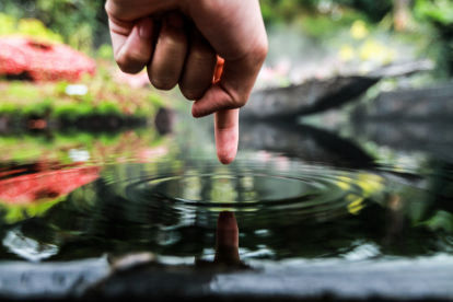Regeneration of Ponds and Lakes - Benefits of Vortex Structured Water