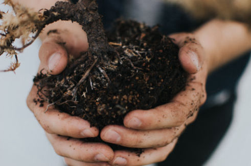 Regeneration of Soil - Benefits of Hexahedron 999 Vortex Water Technology