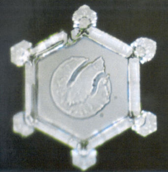 Water with Simple Structural Organization: Image Masaru Emoto book