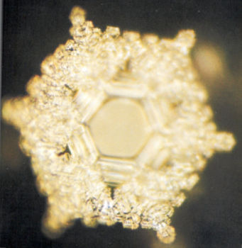 Water with Highly Complex Structural Organization: image Masaru Emoto Book 