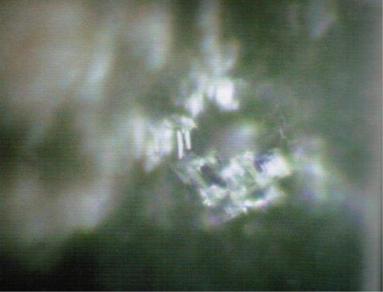 L'eau avec aucune l'organisation structurelle image Masaru Emoto