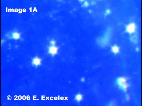 Biophotons Régénéroactifs dans les tomates utilisant eau revitalisée 
