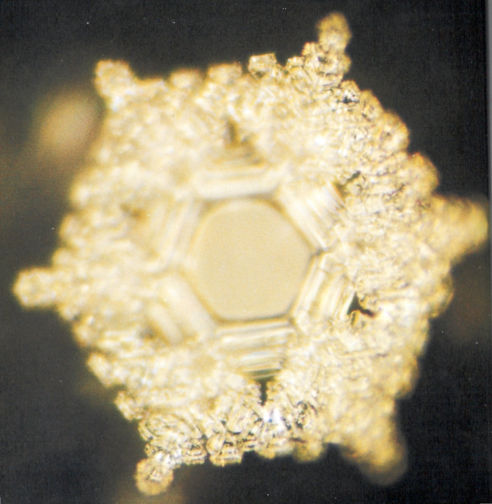 Masaru Emoto: Messages  de l'eau Volume1 Amour  Appréciation  page96