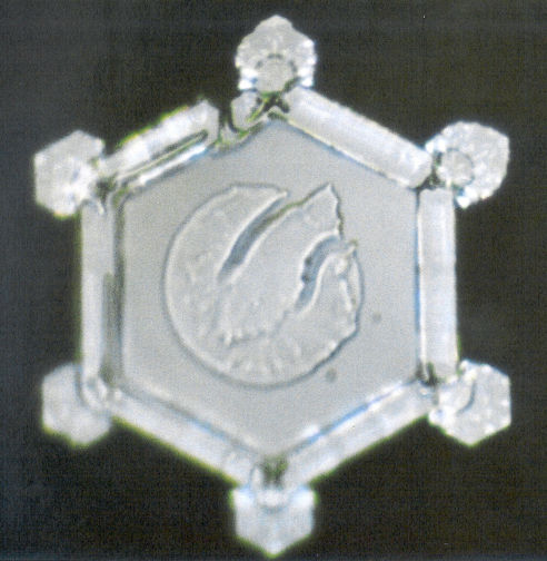 Masaru Emoto: Messages  de l'eau Volume1 eau Glacier  page57